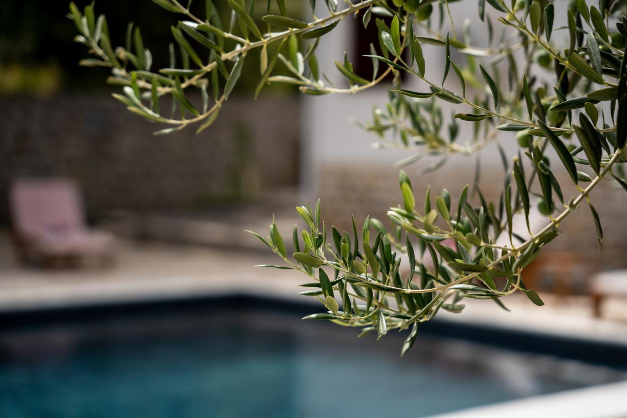 Villa Pag Dubrava Relax With Pool Bosana Ngoại thất bức ảnh