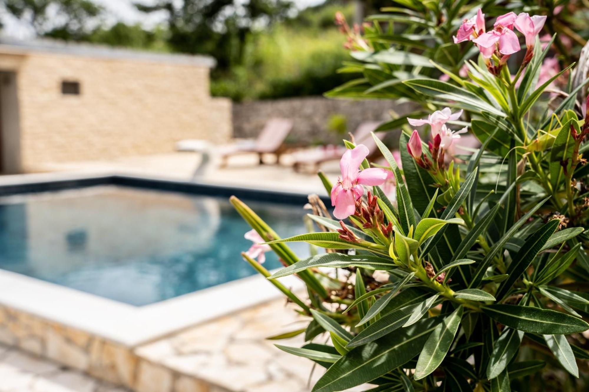 Villa Pag Dubrava Relax With Pool Bosana Ngoại thất bức ảnh